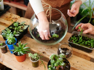 Woman organizing plants in window boxes, cups, glass containers